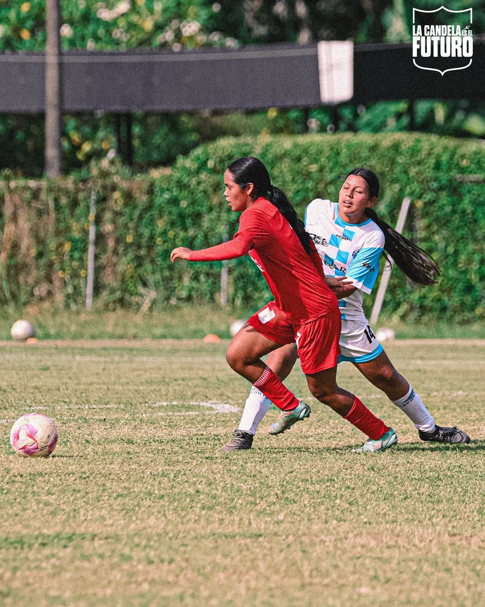AmericadeCaliCF's tweet photo. 🇦🇹 Contundente victoria entre la Categoría Sub-20 femenina ante Real Sociedad por la Copa Telepacífico. ⚽️ https://t.co/pXHISV2t9b