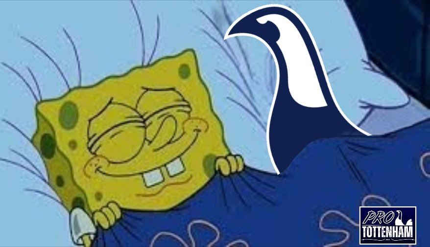 TottenhamSpur's tweet photo. Me every night since Sunday https://t.co/WRwQbmciFD