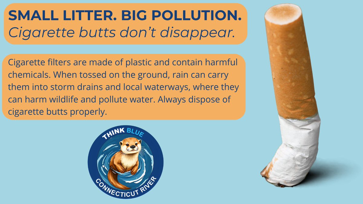 harmful chemicals in a cigarette 🚬 A cigarette butt may seem small, but its impact can be big. Cigarette  filters contain plastic and harmful chemicals that can wash into storm  drains and local waterways. Keep butts off