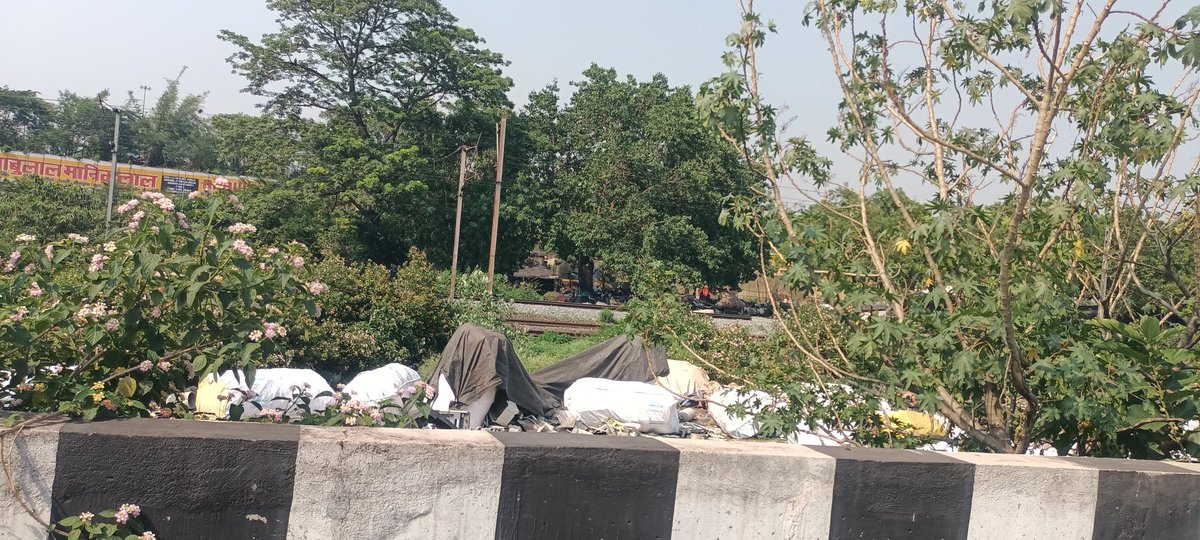 Ajayramuka2015's tweet photo. @ENGGCNTLCKP @CPCB_OFFICIAL @jspcbranchi @CKP_Division @SBM_UP @RailMadad @RailMinIndia while municipality responsibility was mentioned, please look into the regular commercial scrap business operating barely 200 meters away just on the side of the railway track Such activities also contribute to the issue and need proper attention. https://t.co/h24zLlkANk