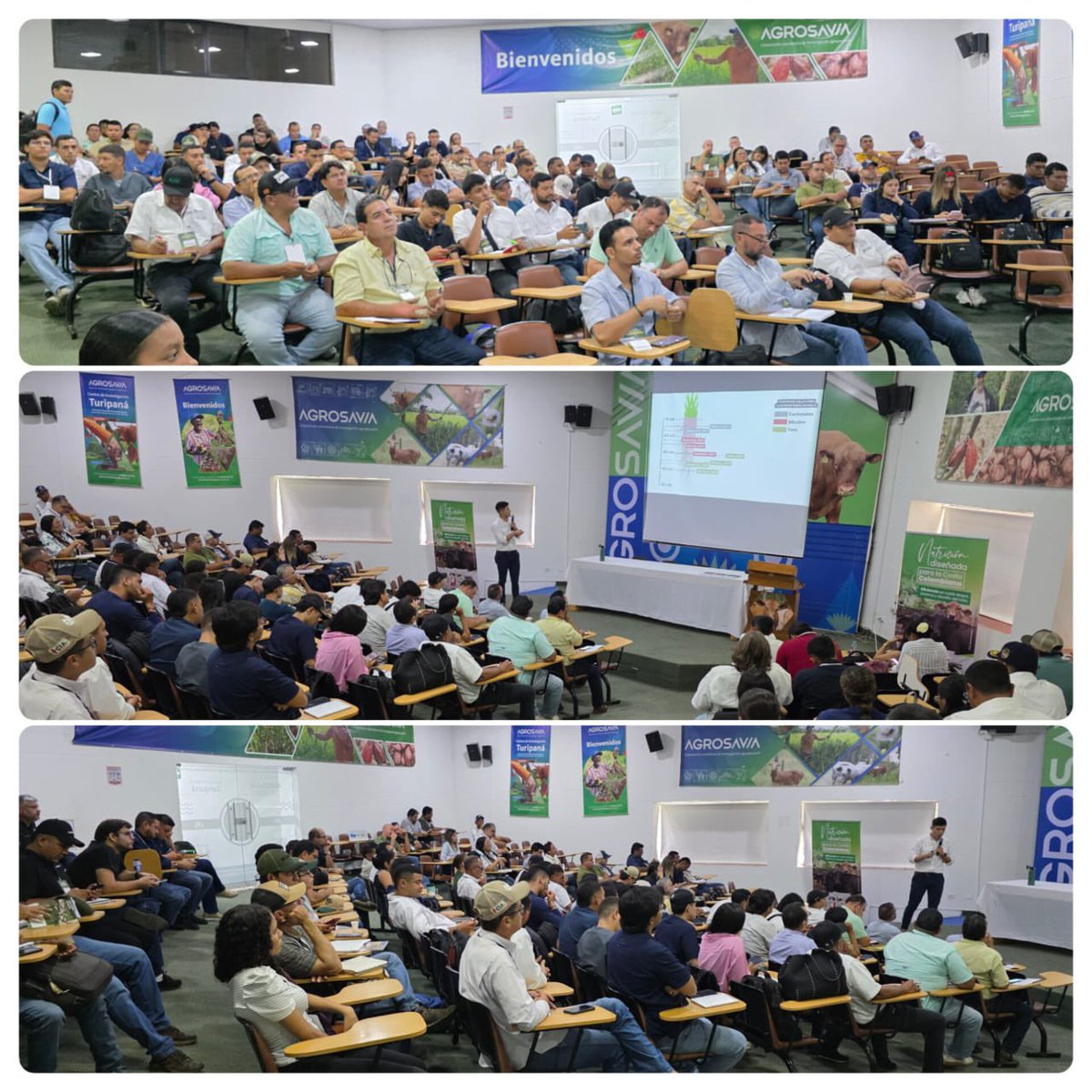 SomosAGROSAVIA's tweet photo. III Seminario Internacional: Forraje, Alimentación y Nutrición Bovina AGROSAVIA - GANACOR
#CITuripaná #Forrajes #Ganadería https://t.co/IpoURmIRo2