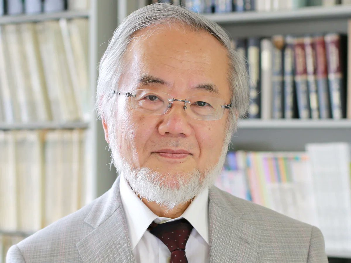 fisiltihaberr's tweet photo. Japon biyolog Yoshinori Ohsumi, vücudun aç kaldığında hasarlı hücrelerini “yiyerek” temizleme mekanizmasını keşfetmesiyle Nobel Ödülü kazandı. https://t.co/ZxC20izgF9