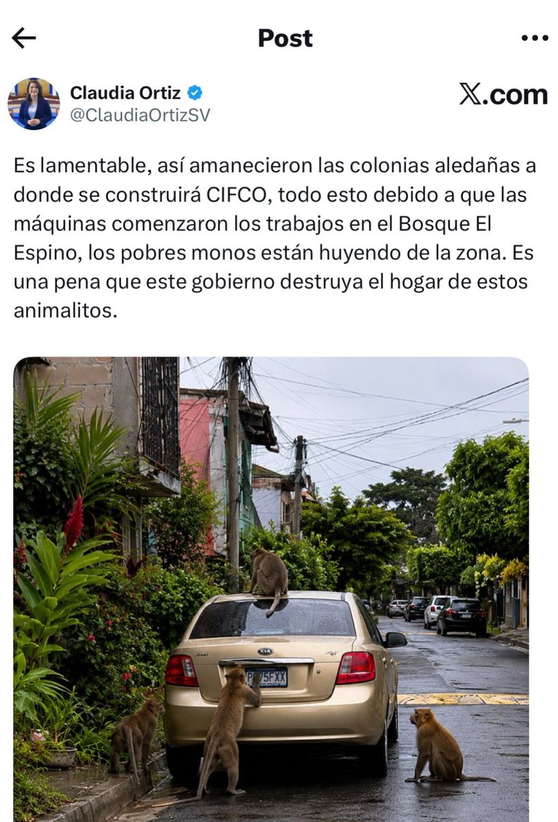 Abigail Contreras tweet media