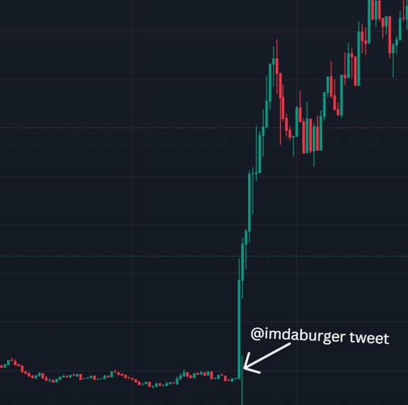 burger (real) tweet media