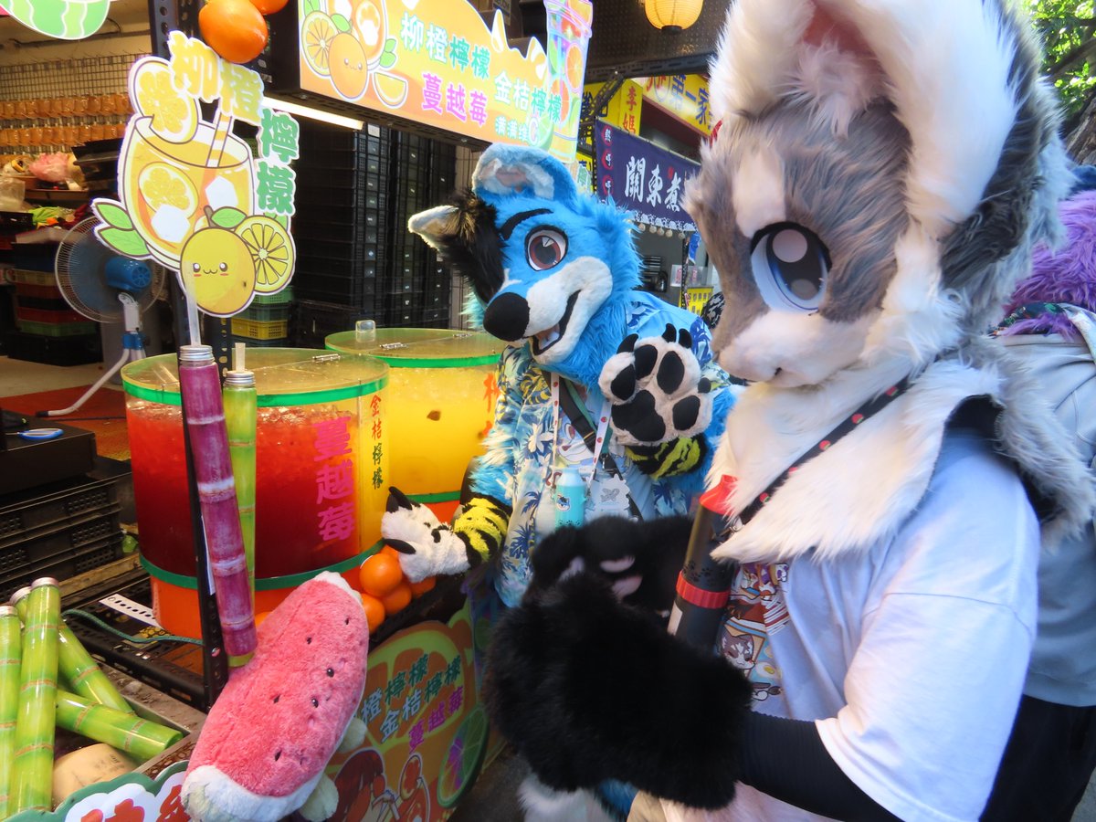 ContrailWolFox's tweet photo. #FursuitFriday So Hooooooot...... 
Lucky that there are cold drinks available x3

非常熱。。。
還好運我們有冰的飲料 x'3

📸 @Daniel81819349 https://t.co/wg1zHR5lRd