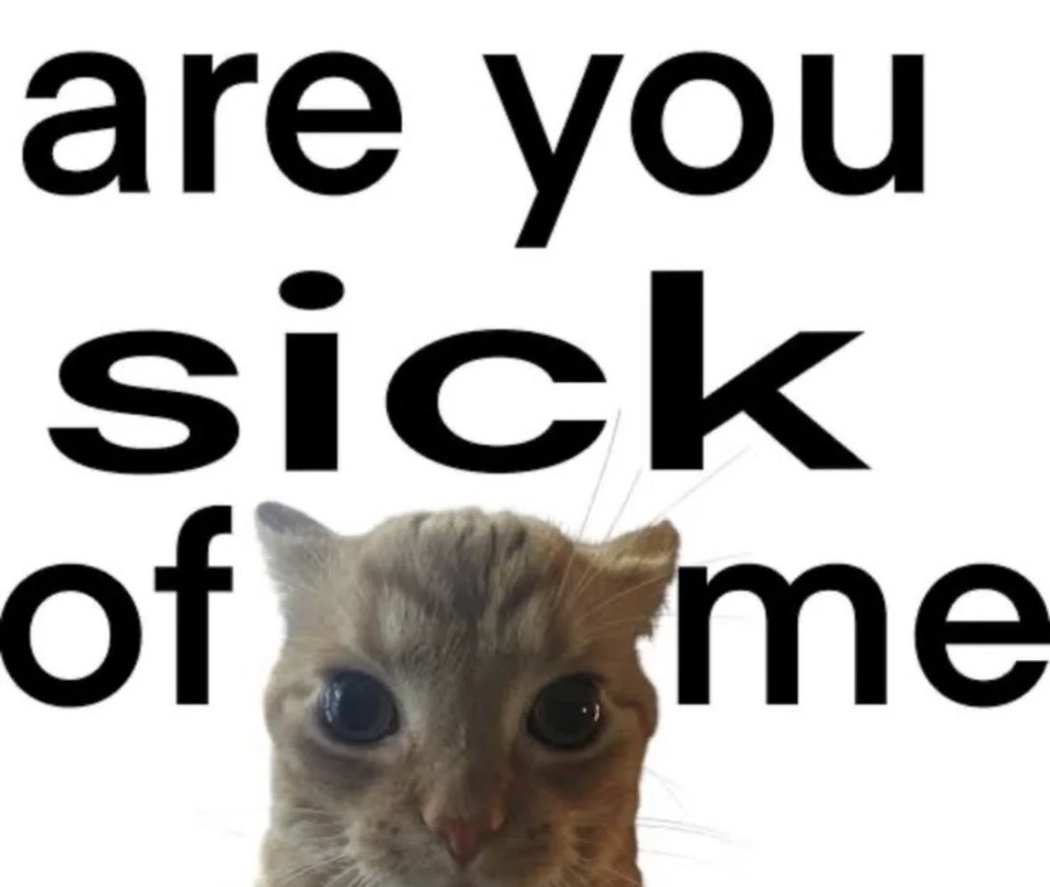literallymecats's tweet photo. https://t.co/gduLqlaR4j