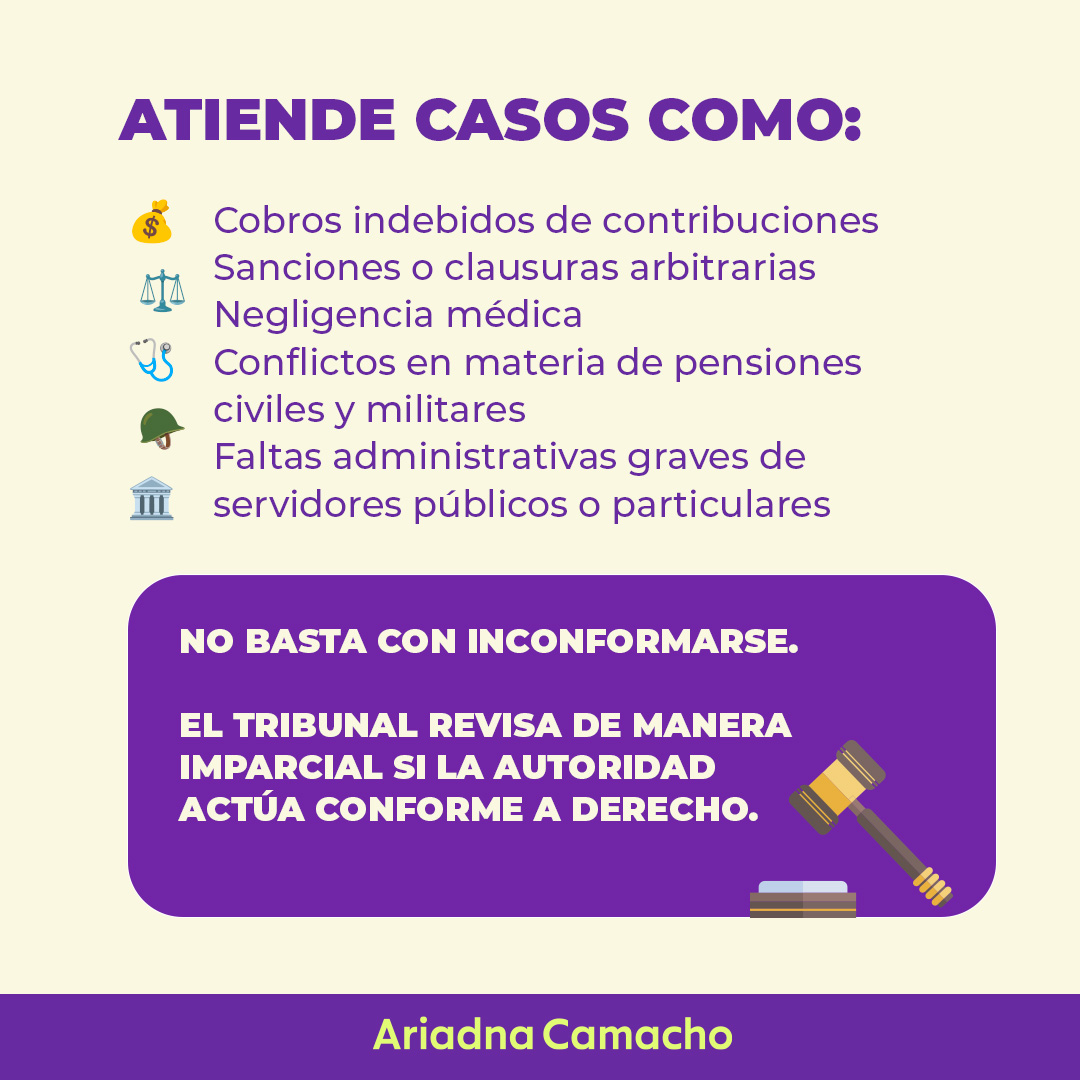 ariadnacamacho's tweet photo. La justicia administrativa forma parte de situaciones mucho más cotidianas de lo que imaginamos.

El  @TFJAMexico tiene la función de revisar que las autoridades actúen conforme a la ley y garantizar equilibrio entre el poder público y los derechos de las personas. https://t.co/q1FMH27Vjx