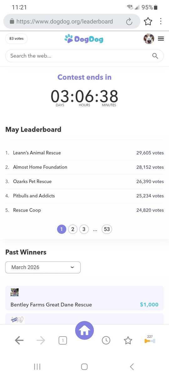 wonderbeagmurph's tweet photo. There's 3 days to be sure @rescuecoop is one of the lucky rescues that receives money from @DogDogHQ. All you have to do is use DogDog to search for whatever it is you want online. https://t.co/ORlcENDg0d