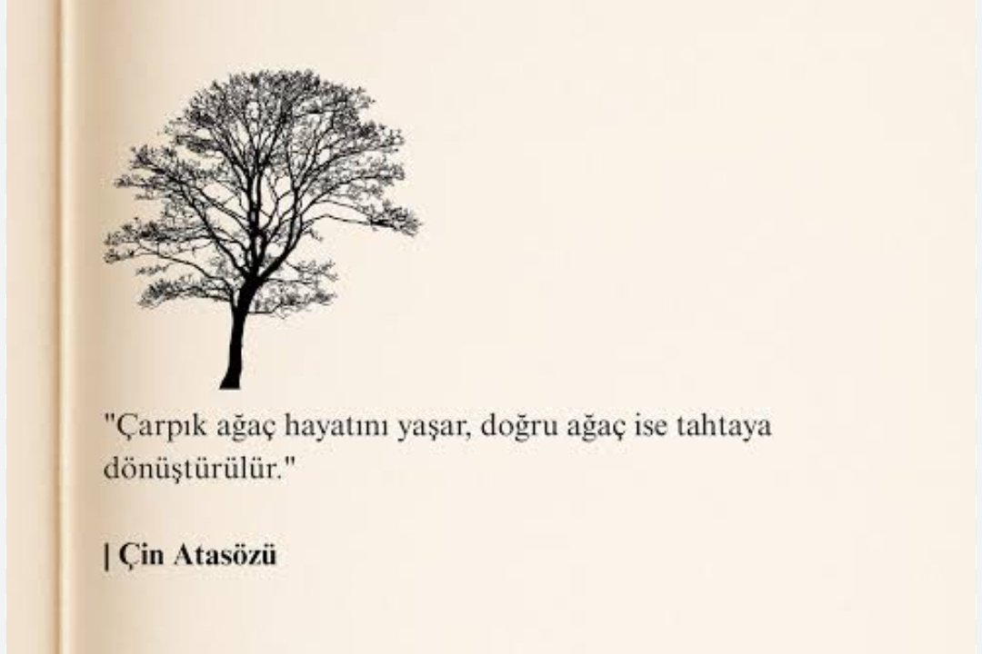 gemizem's tweet photo. ben bir gürgen dalıyım kitabında, düz ve genç olması ile övünen ağaç, kurduğu hayallerden birinde bir köy okuluna pencere olmayı istemişti. fakat hikâyenin sonunda dar ağacı idi. https://t.co/5J9gcTk7Xq
