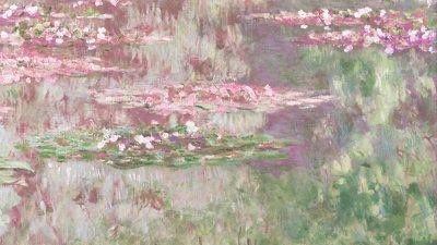 blossom. tweet media