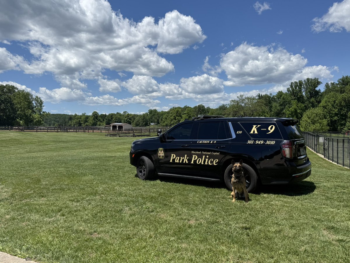 ParkPolice's tweet photo. K9 Mako took a minute to enjoy the fresh cut grass after article search training! 

The Special Operations Section greatly appreciates the @MontgomeryParks maintenance crews for keeping the Woodlawn facility looking sharp year-round! https://t.co/AJB09HTSpc