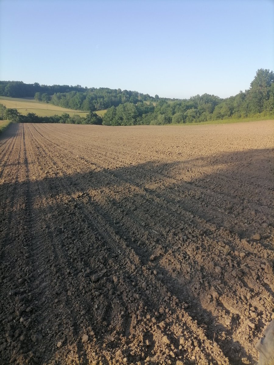 93Prodanovic's tweet photo. Intenzivna poljoprivreda u praksi. Prije 3 dana sa ove parcele smo skinuli stočni grašak sa prinosom od 20t/ha zelene mase. Juče je u istu posijana soja i danas je odrađena prva zaštita. Neki će se pitati zašto soja nakon graška? Zbog divljih svinja odustali smo od kukuruza https://t.co/UEc8R8ZzA6
