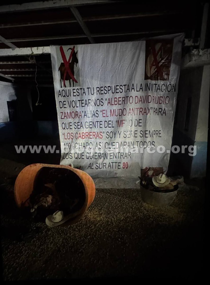 Blog del Narco México tweet media