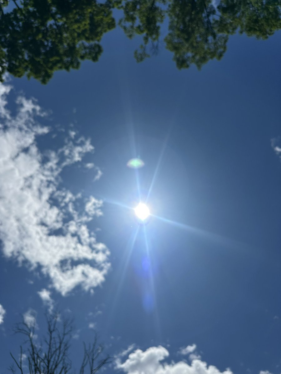 strainlesslight's tweet photo. Go get some beautiful sunlight today!

🧡🌞 https://t.co/BCwqDTSKRm