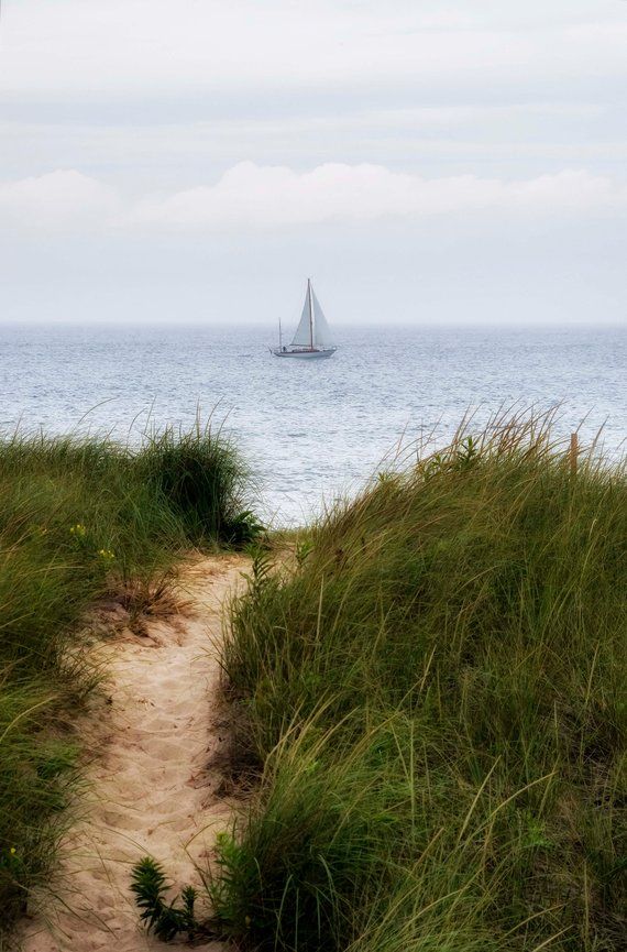 ACC_National's tweet photo. East Coast summer. https://t.co/BicQAG2GrN