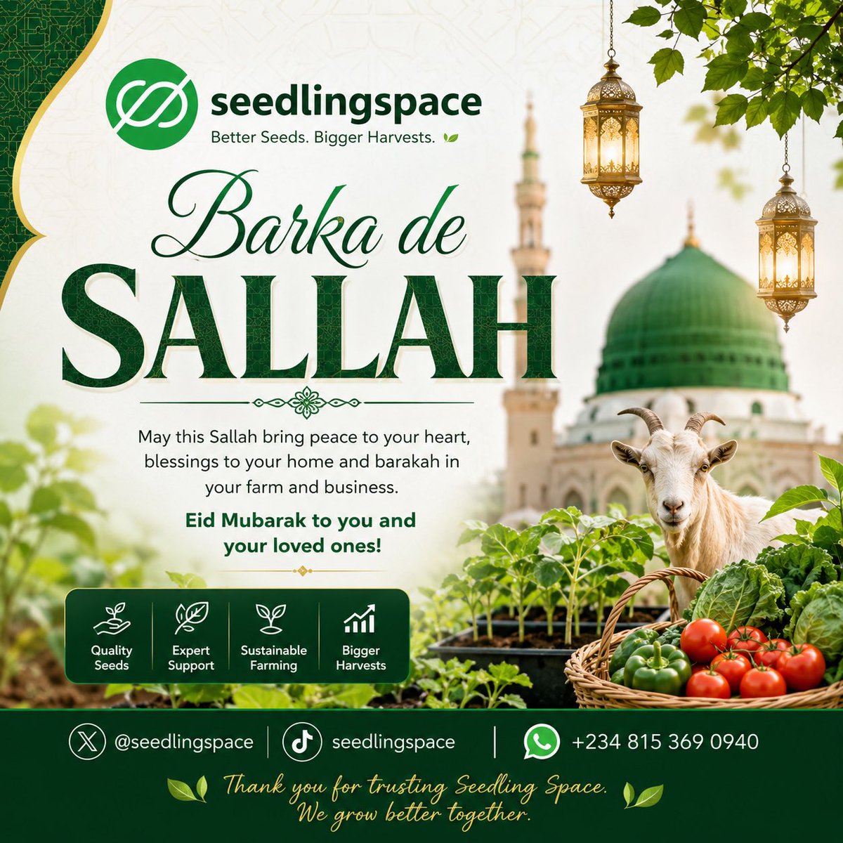 SeedlingSpace's tweet photo. https://t.co/qfVDqNQSw7