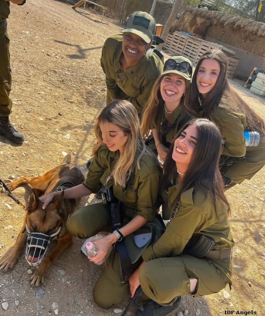 Israeli Elegance tweet media
