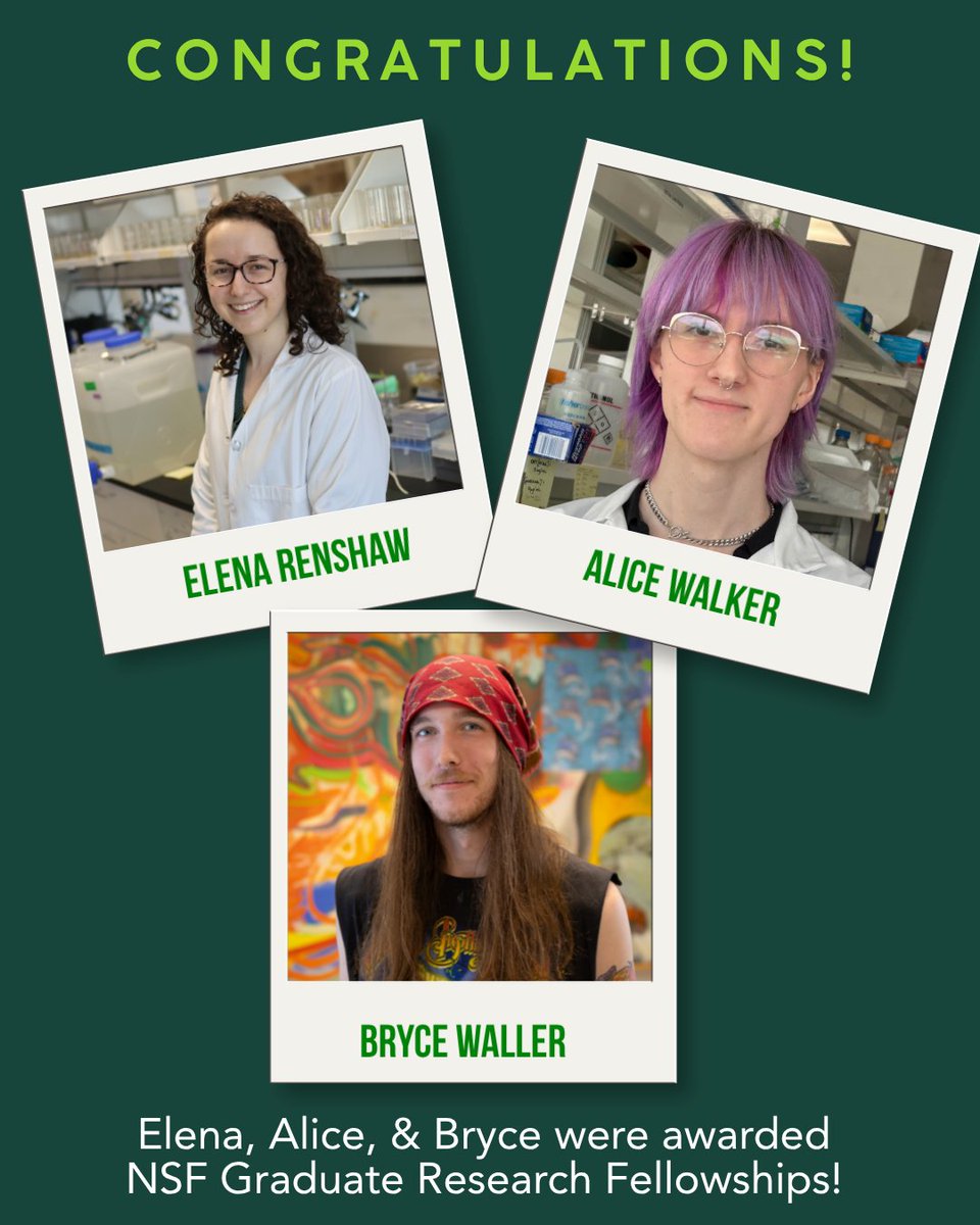 MSUMGI's tweet photo. Three graduate students working in MGI labs have been awarded prestigious NSF Graduate Research Fellowships which provide three years of support to these outstanding young researchers. 

Read more about Elena Renshaw, Alice Walker, and Bryce Waller:  https://t.co/F6iM3JId5q https://t.co/tfSlCT2NMt