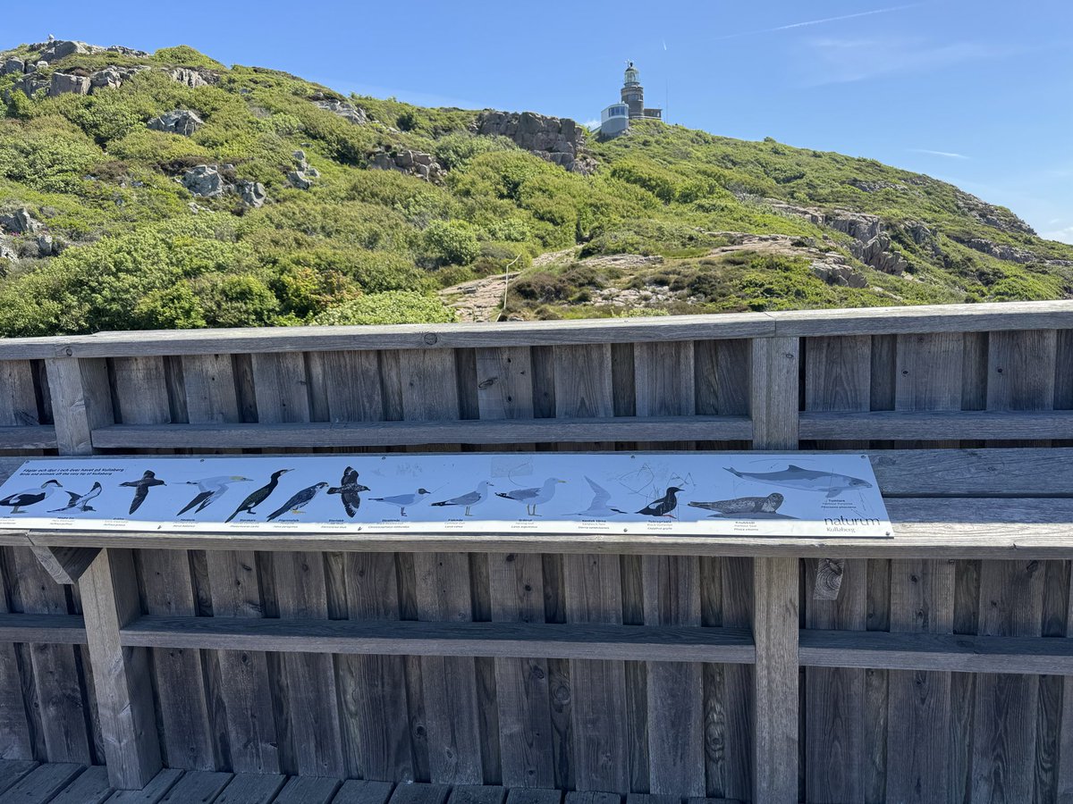 KnutHuwe's tweet photo. #PiWiOnTour
Nachdem die Menschen uns gestern im fahrenden Haus gelassen haben (sie wollten Latschen 🙄) ging es heute endlich weiter! Weiter Richtung Norden. Da wurde Touristen erst mal erzählt was für Tiere @JoschMoewe und Matz sind https://t.co/QkAsf2ZNmq