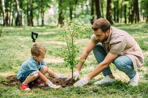 PAUtilities's tweet photo. Did you know proper irrigation &amp; tree care can help cut your water use without sacrificing a healthy yard?

Join our free webinar the evening of Thursday, June 4 and find out how!  Register at https://t.co/3dcwmgFjPz. https://t.co/RLLd2csmHs