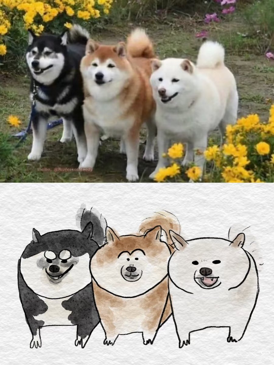 daily post tweet media