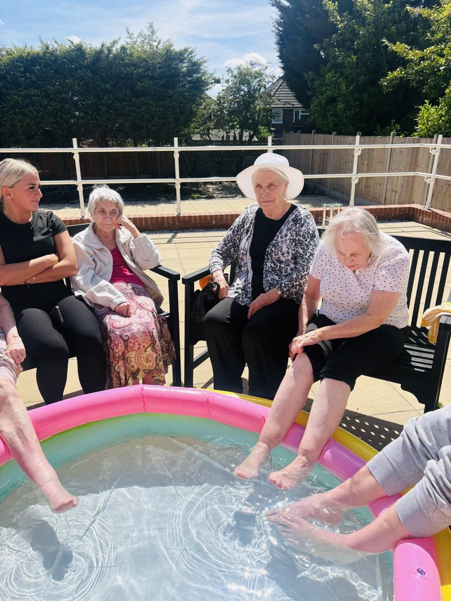 Digby_Manor's tweet photo. Chilling in the summer sun ☀️😎 https://t.co/zdh20l2w1b