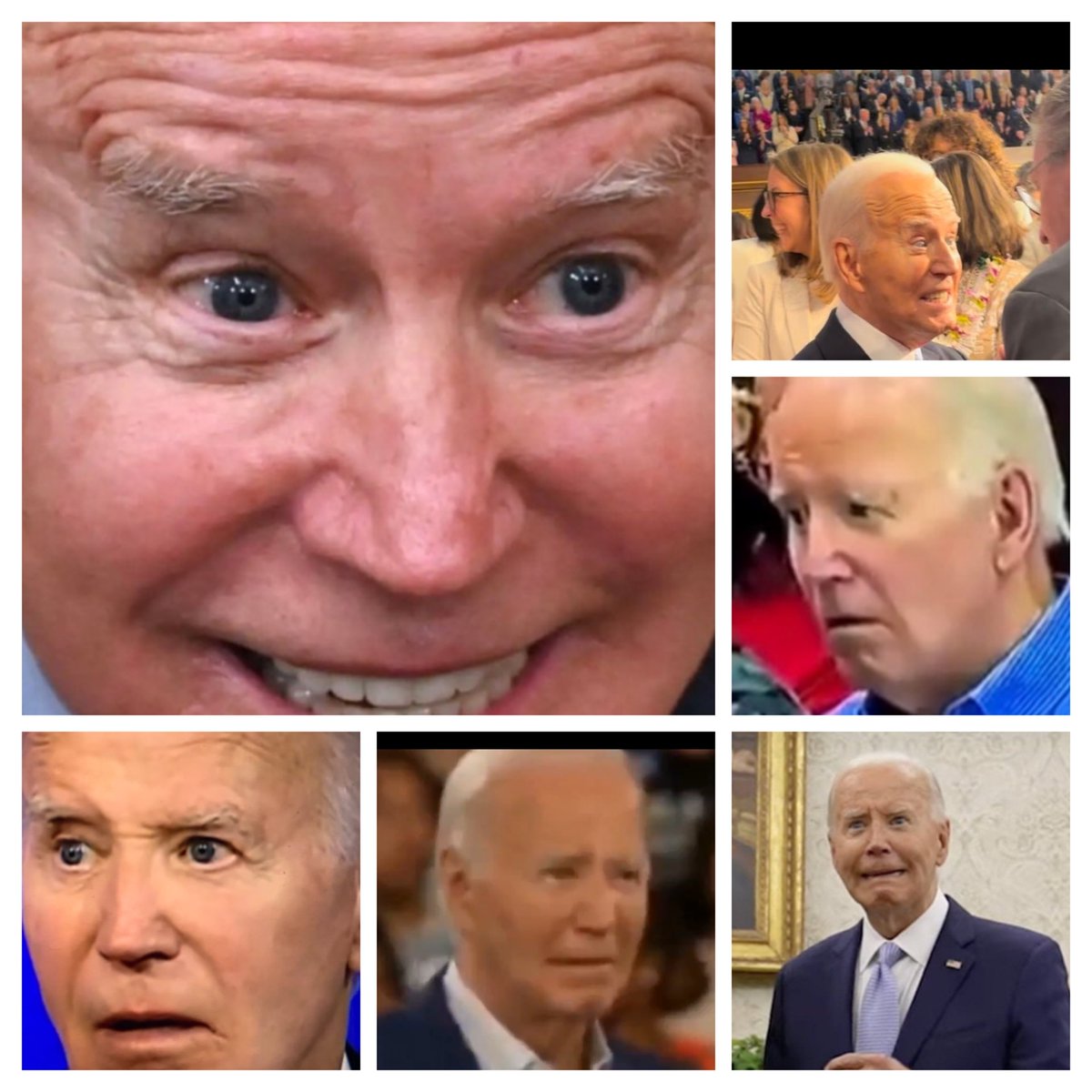 Ultra MAGA Joyce Day tweet media