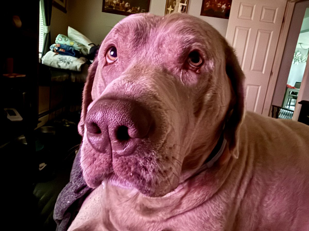 TomCabral's tweet photo. @DanaPerino Good day Sunshine from Jack Straw from Wichita https://t.co/Yh677SuADZ