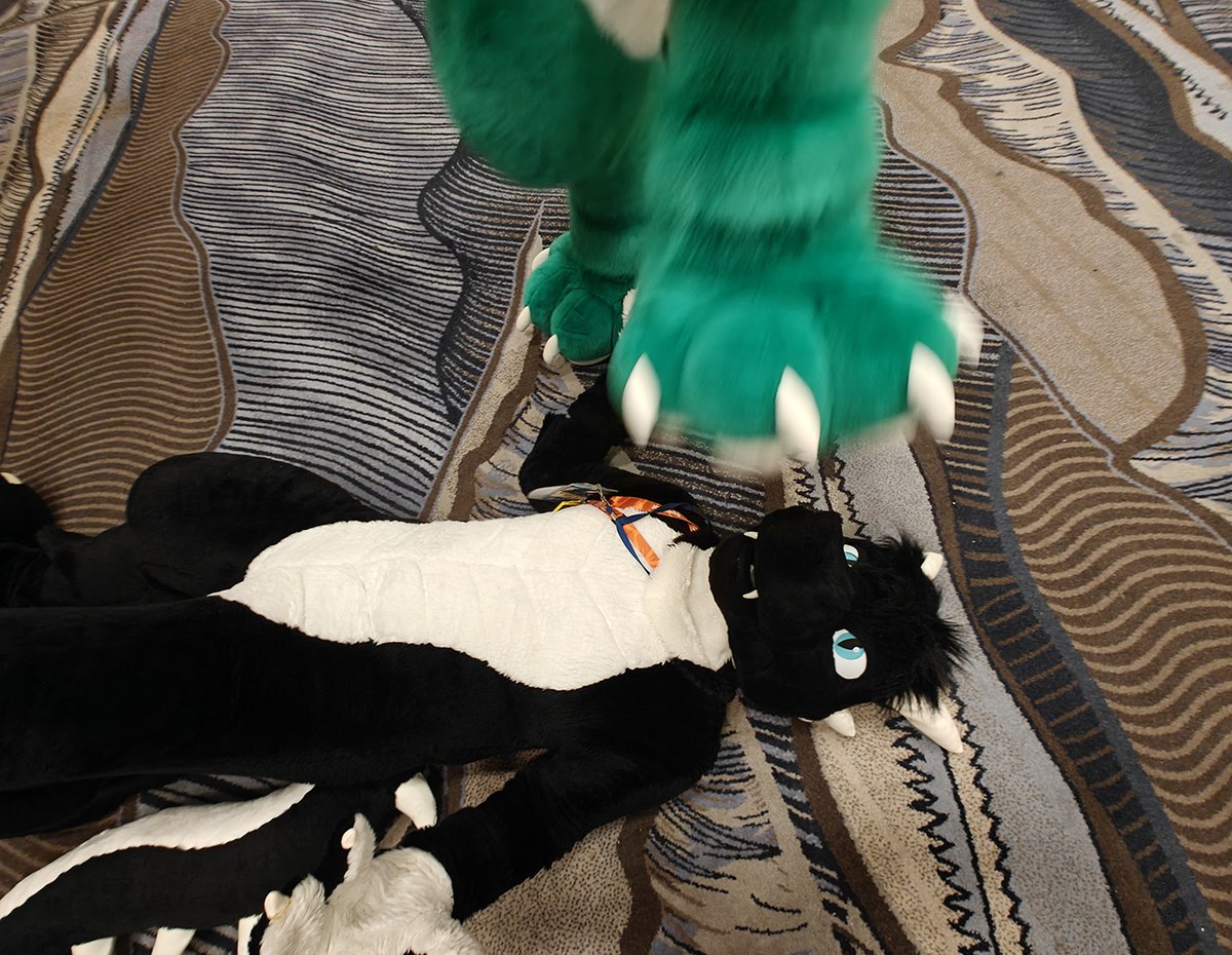 DragonRaketh's tweet photo. I should have known that tiredly flopping on the floor had its risks! 😲

(An appropriate pic to compliment yesterday’s art! Also... don't get ideas! 😤)

📸 @Kaiyo_Wulfstar 
#fursuit #furry https://t.co/ssPeDgVZ8T