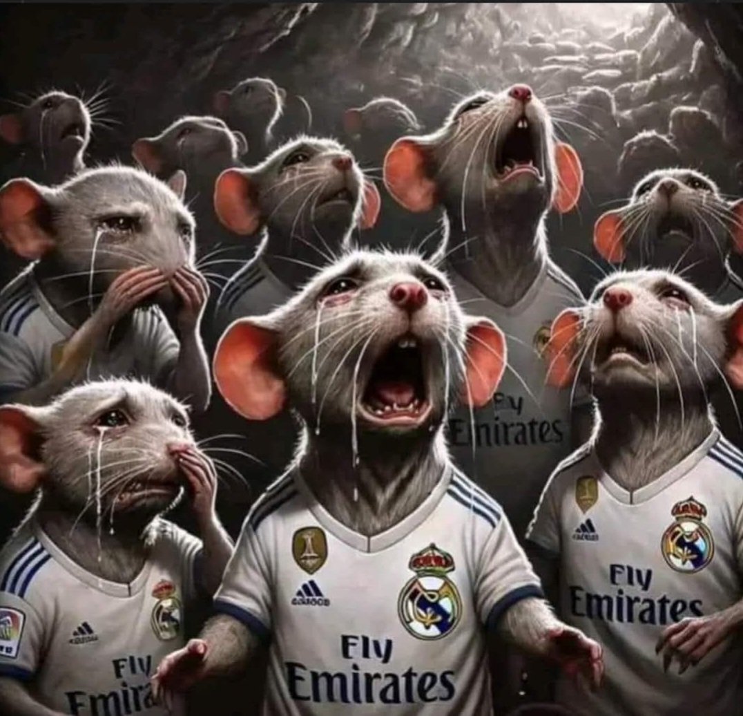 Albertus🏴🤎💙FCB💙🤎🏴33 tweet media