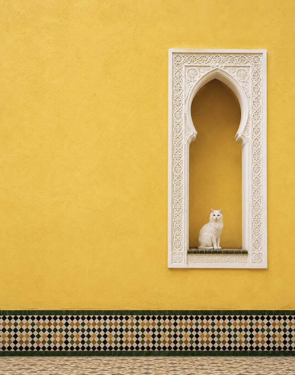 aseelswaid9's tweet photo. Yellow architecture MOROCCO https://t.co/co0XXrEGB8