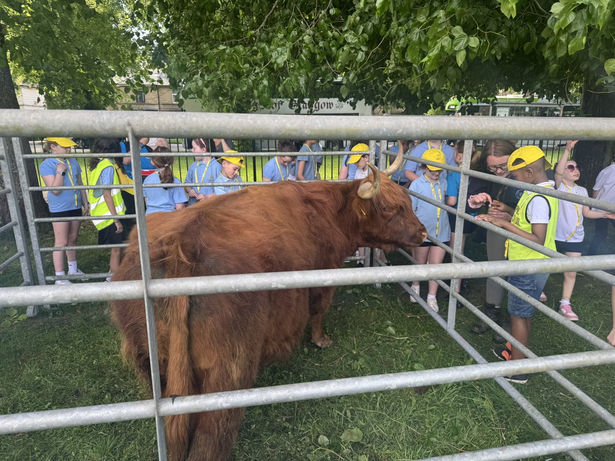 OLRprimary's tweet photo. A wonderful day on Wednesday at the Go Yellow Walk with our P5-P7 children. Raising money for the @PPWHospice https://t.co/rNGn5t9LDT