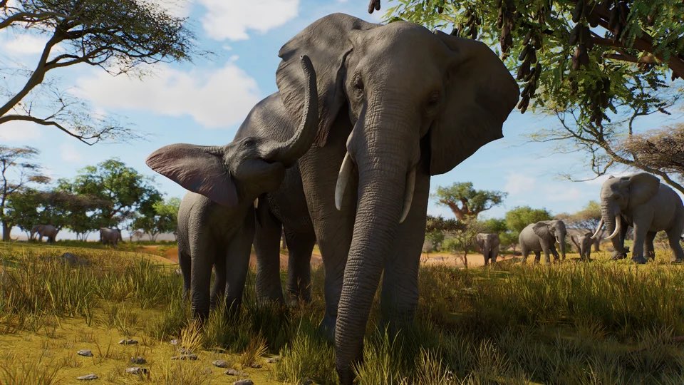 leafzproduction's tweet photo. My entire timeline is Planet Zoo. This is how it should be baby 🐬🦅🫧💚🍃🦒 https://t.co/B7lPc63lSg