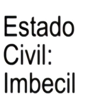 elisa tweet media