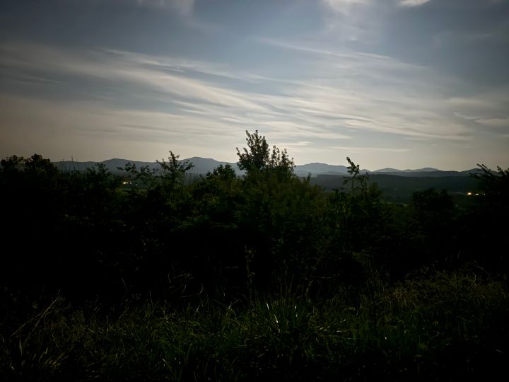 Tatted_Witching's tweet photo. Art of the Day! "Overlook". Buy at: https://t.co/fW22xyLTHL https://t.co/w9lT6gs39k