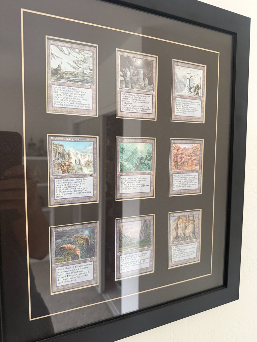 amarashian's tweet photo. The Alliance land cycle is so underrated.  And yes I know City of Shadows is from the Dark but needed a 9th card to fill out the frame and it kinda matches the vibe. #mtg https://t.co/IGK78XteIB