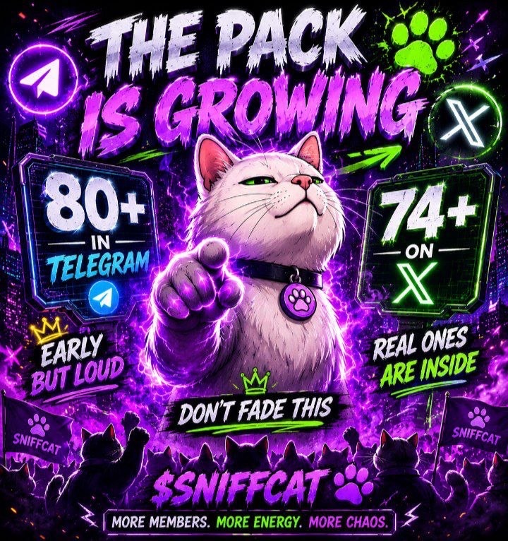 SNIFFCAT tweet media