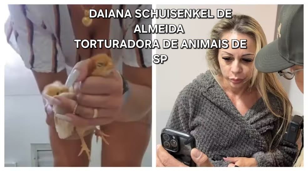 MACATS tweet media