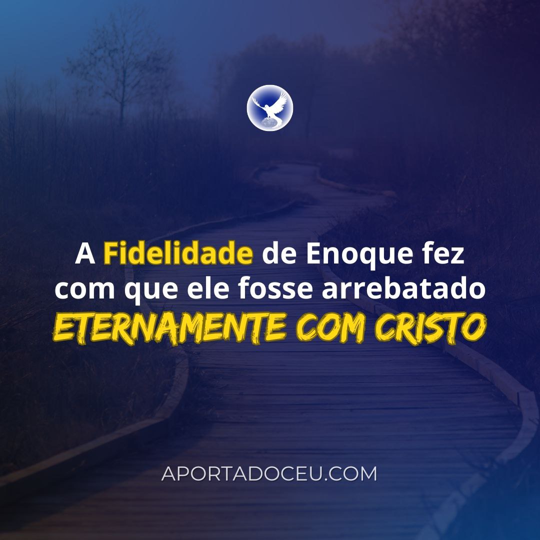 Fátima 🇧🇷 tweet media