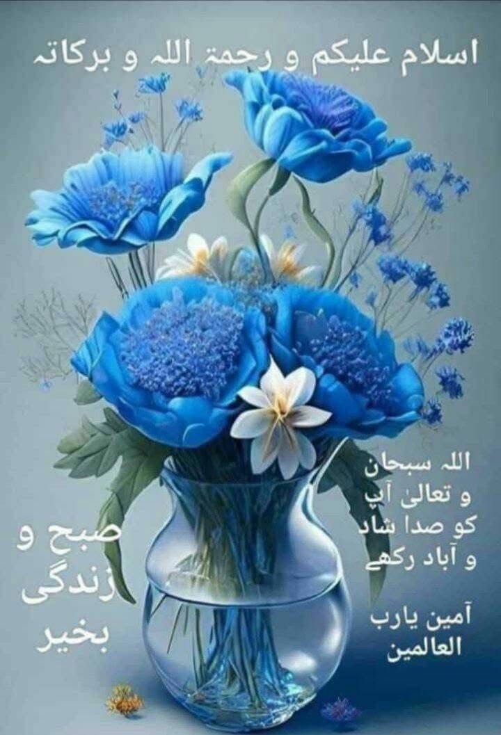 Faiza Khanmᵀᵉᵃᵐᴸᴸᴾ tweet media