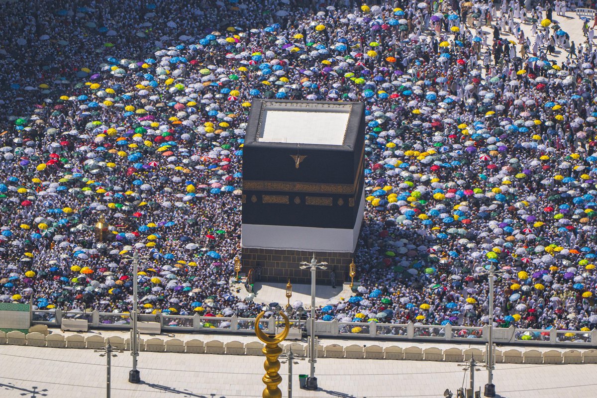 أخبار السعودية tweet media