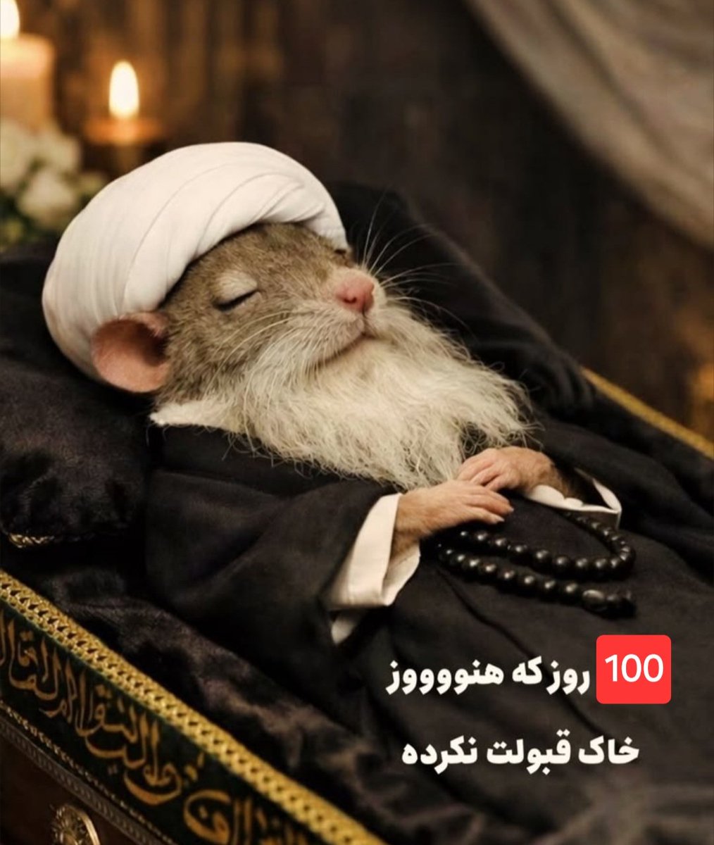 🇮🇷mmdo tweet media