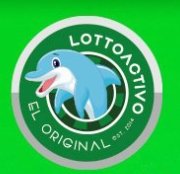 DatosDavilaBj's tweet photo. 4 favoritos para este sorteo de la 2 pm ..
Pero solo hay un matador .. mi ejemplar el 0 delfín 🐬 vayan confiado que vamos ganadores .. y cuando ganen comuníquense para afiliación y seguir ganando 💵💵💵💵 https://t.co/5Xi02J1bhx