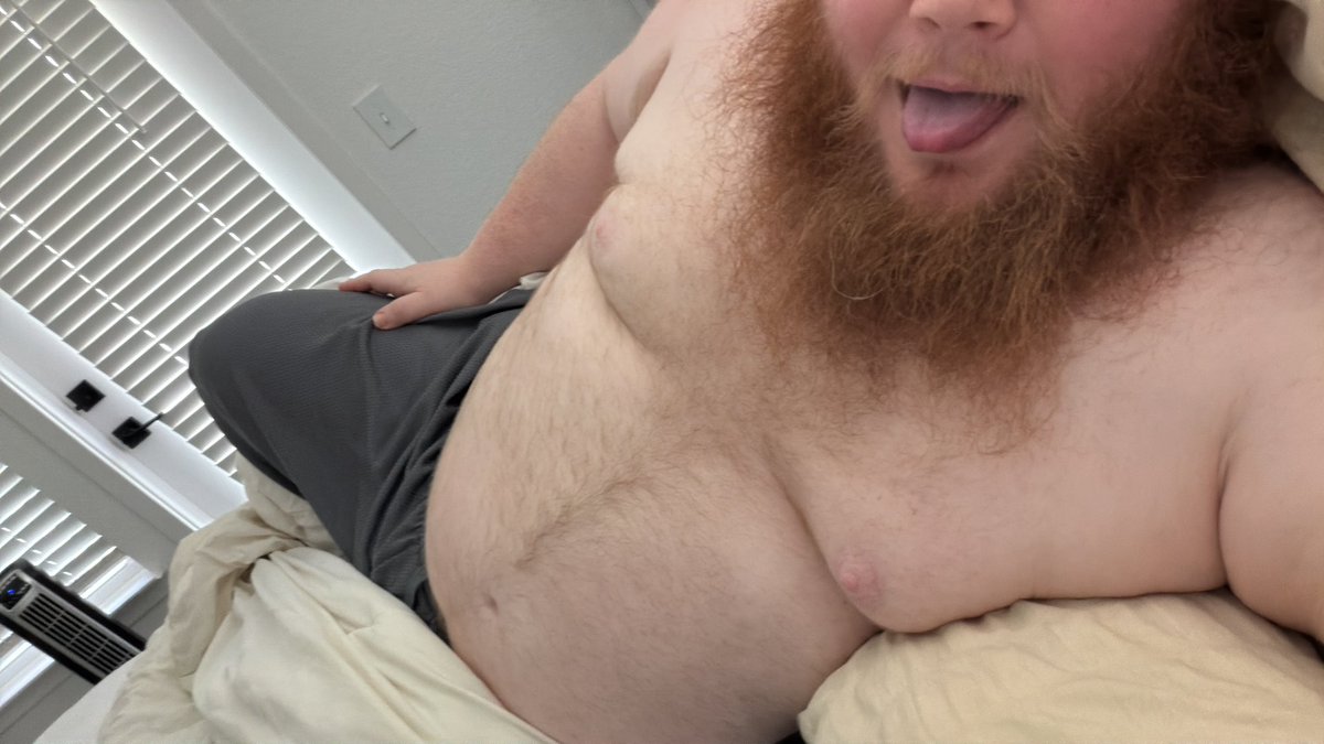 GingerbearMike tweet media