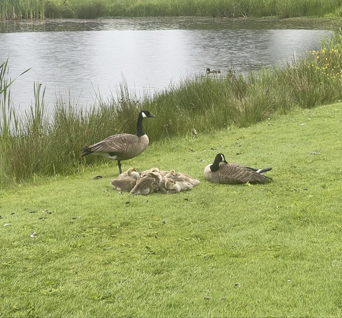 GuideOutdoors's tweet photo. @jjmmli https://t.co/XUb0xPkt7i