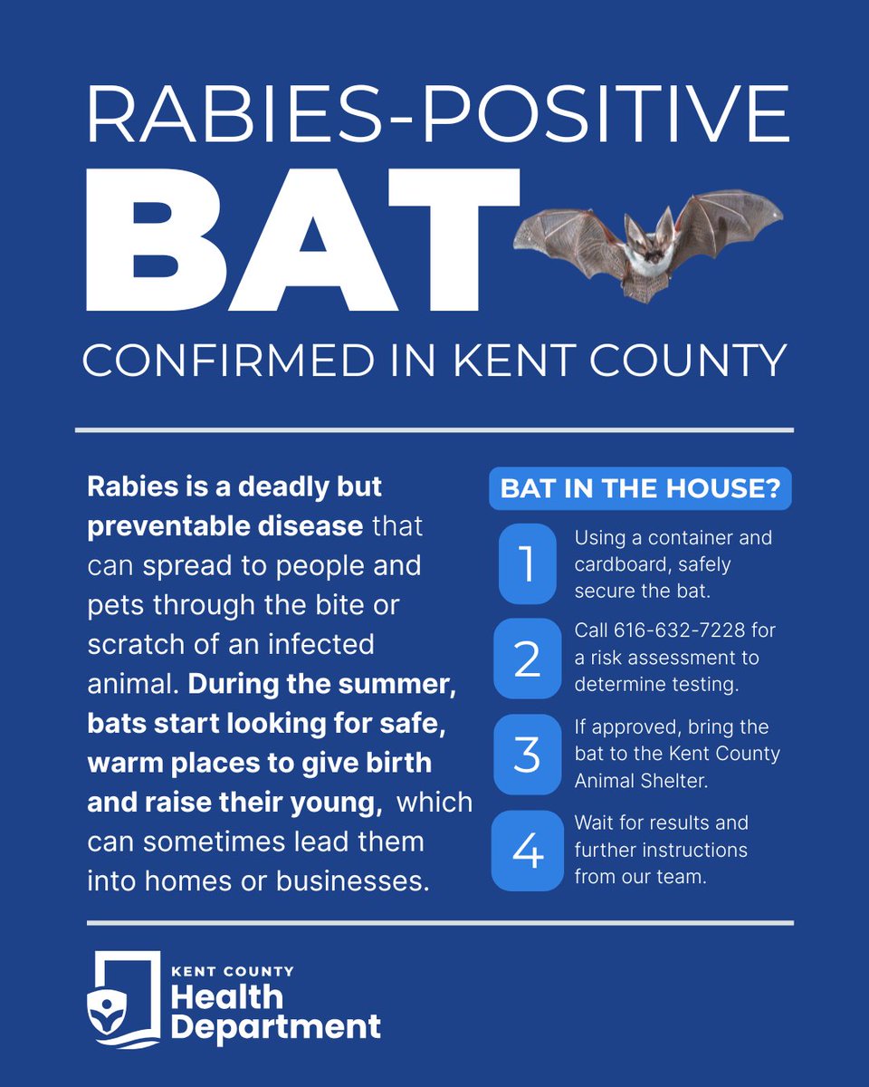 KCHD's tweet photo. Consuming thousands of mosquitoes a night, bats play an important role in our ecosystem - but they can also carry rabies.

It’s important to know what to do if one gets inside your home. To learn more, read our full press release here: https://t.co/L3dl8rz3SZ https://t.co/eZIvcBuP92