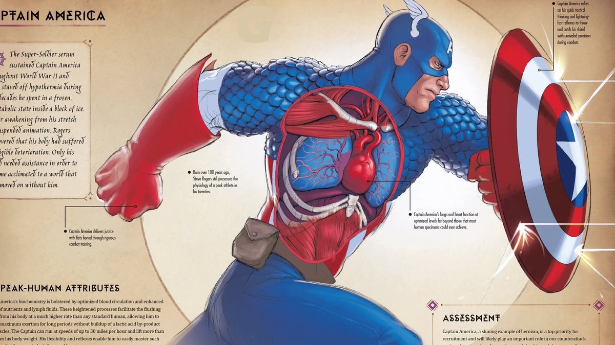 PeopleOfTheInt's tweet photo. Captain's Anatomy https://t.co/RybraX9LPs