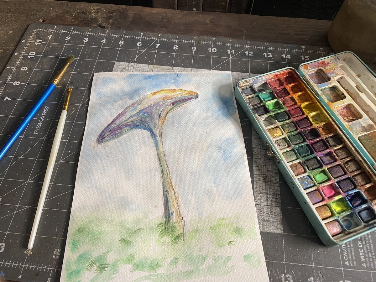 Bears_place13's tweet photo. Mushroom https://t.co/sNwDG0j2cn