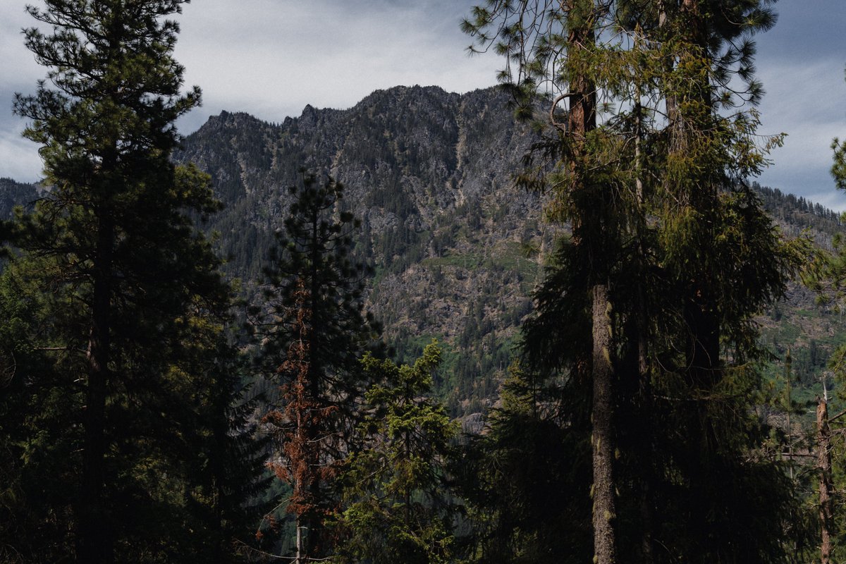 blodgrevinnen's tweet photo. trees, mountains, and lakes always make such pretty subjects https://t.co/QSCPwyYcnu