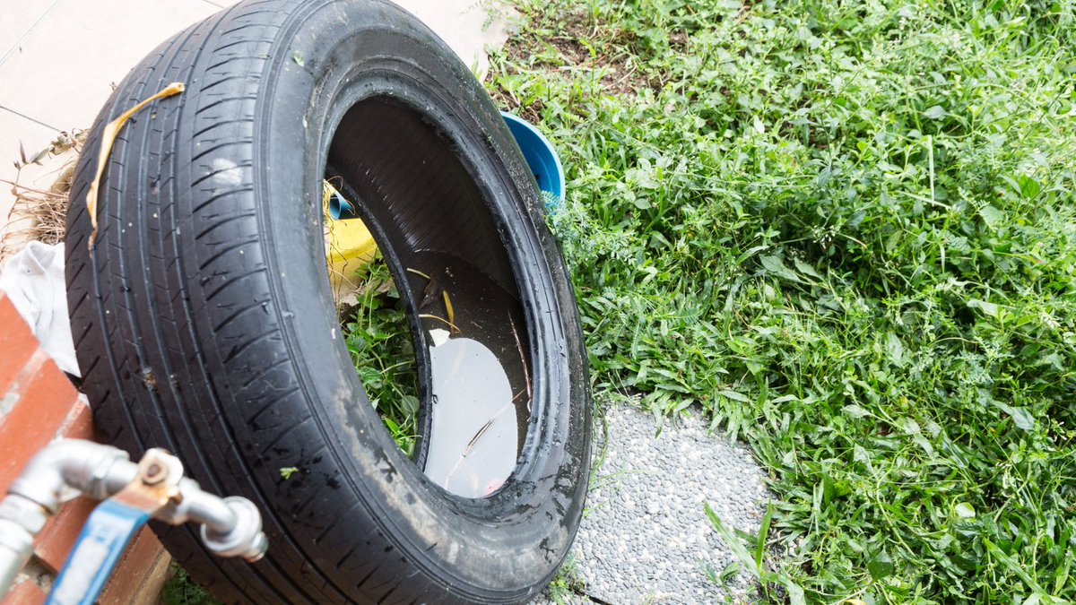 HealthyCollier's tweet photo. Drain and Cover tip: Drain water from garbage cans, house gutters, buckets, pool covers, coolers, toys, flower pots or any other containers where sprinkler or rainwater has collected. https://t.co/iHFJaf3T60